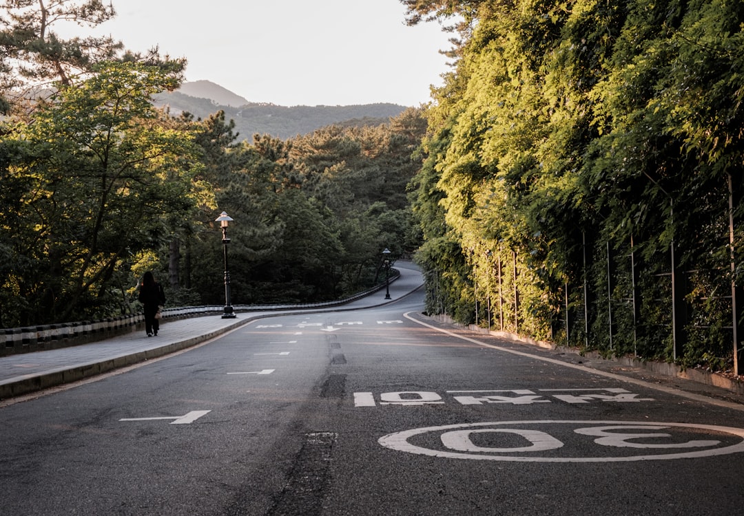 real-world fuel economy dashboard reading, Korean highway driving fuel consumption