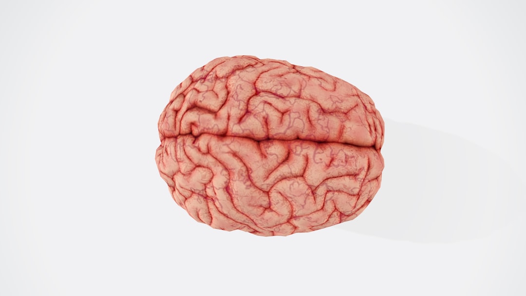 brain synaptic pruning child development, prefrontal cortex learning age