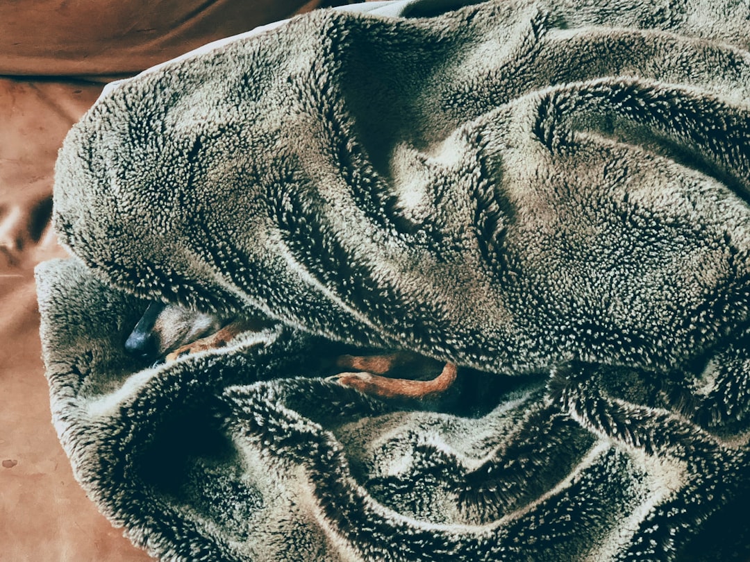 cozy blanket types comparison, weighted blanket fleece wool