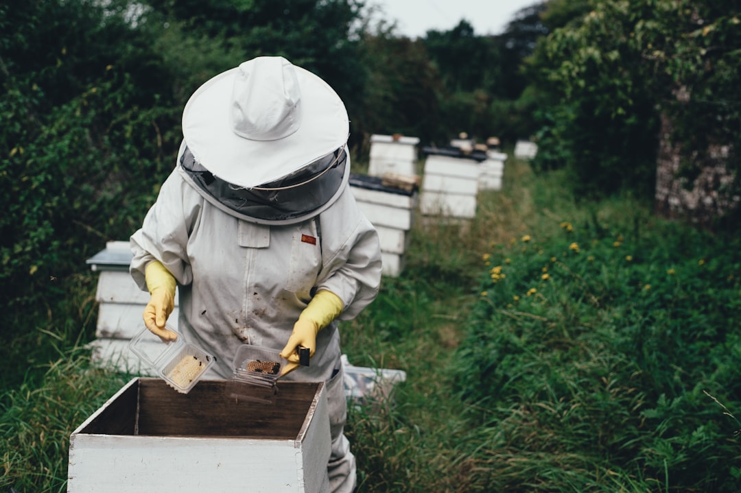 varroa mite honeybee treatment, beekeeping protective gear smoker